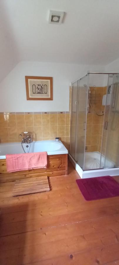 Large Family Home In Wexford Marys B&B Enniscorthy Extérieur photo