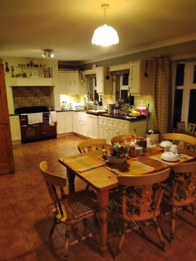 Large Family Home In Wexford Marys B&B Enniscorthy Extérieur photo